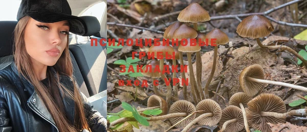 стафф Аркадак