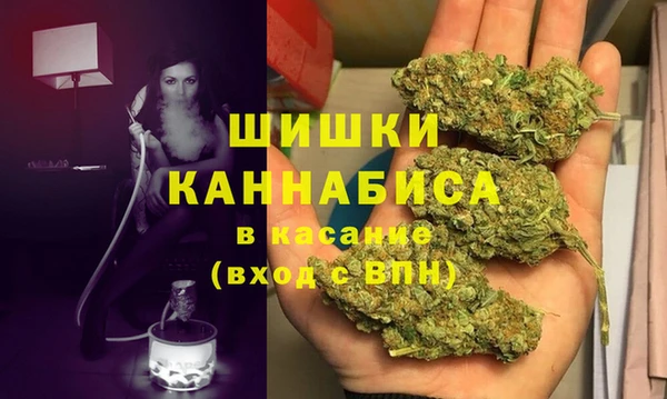 стафф Аркадак