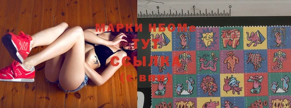 стафф Аркадак